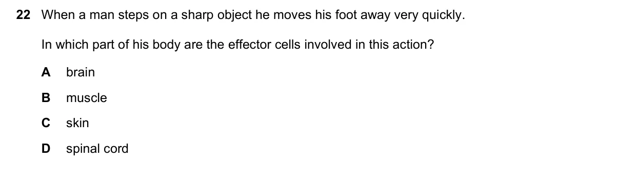 Question 22, June 2020, 0610 Paper 13