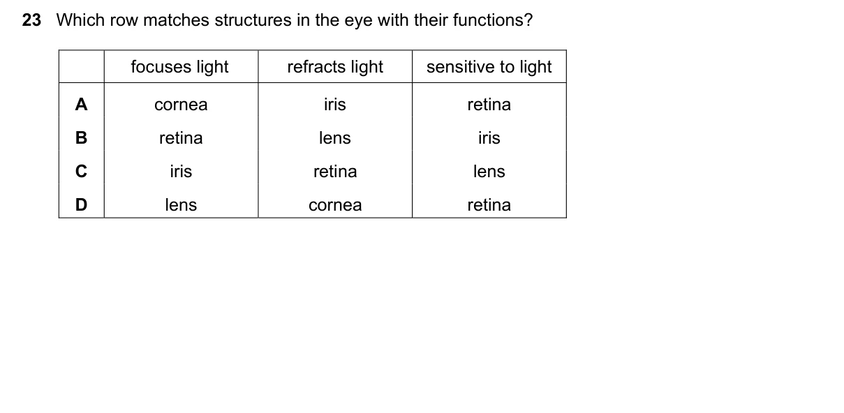 Question 23, June 2020, 0610 Paper 13