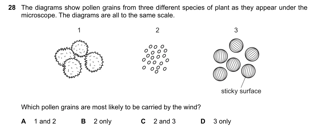 Question 28, June 2020, 0610 Paper 13
