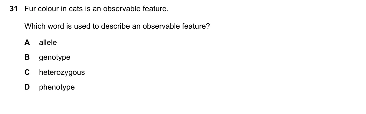 Question 31, June 2020, 0610 Paper 13