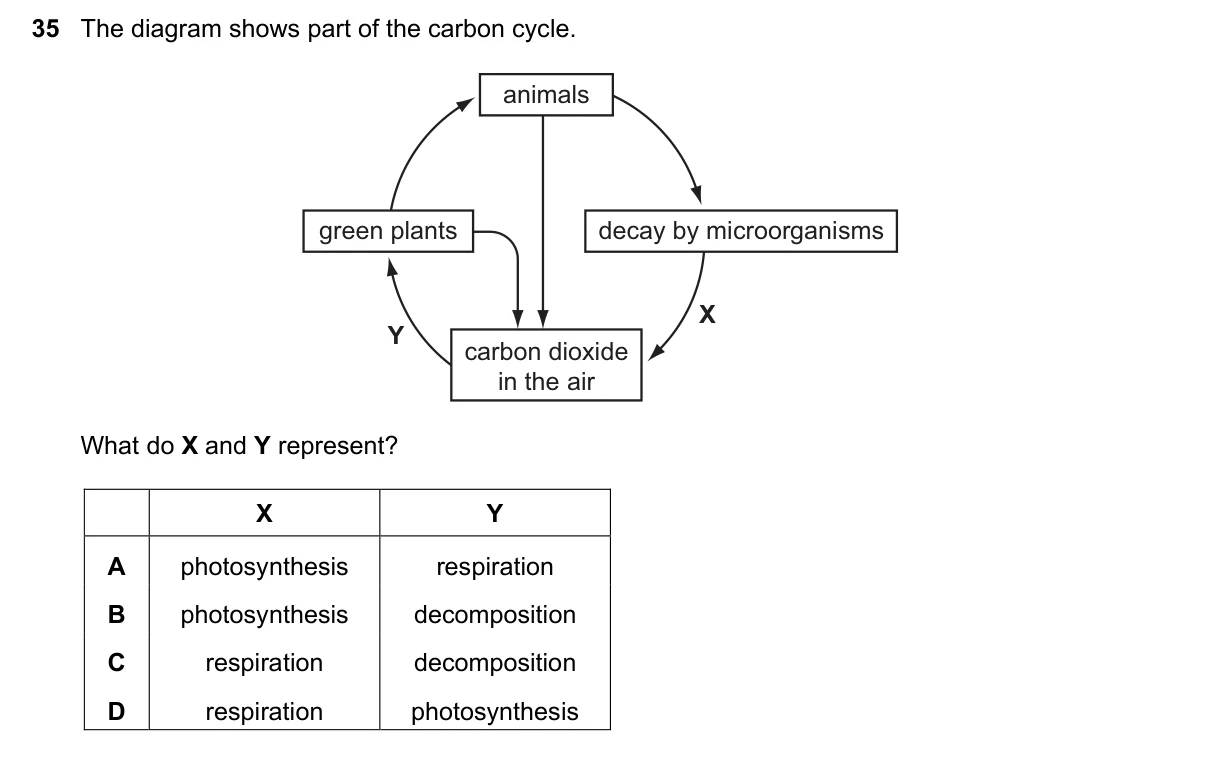 Question 35, June 2020, 0610 Paper 13