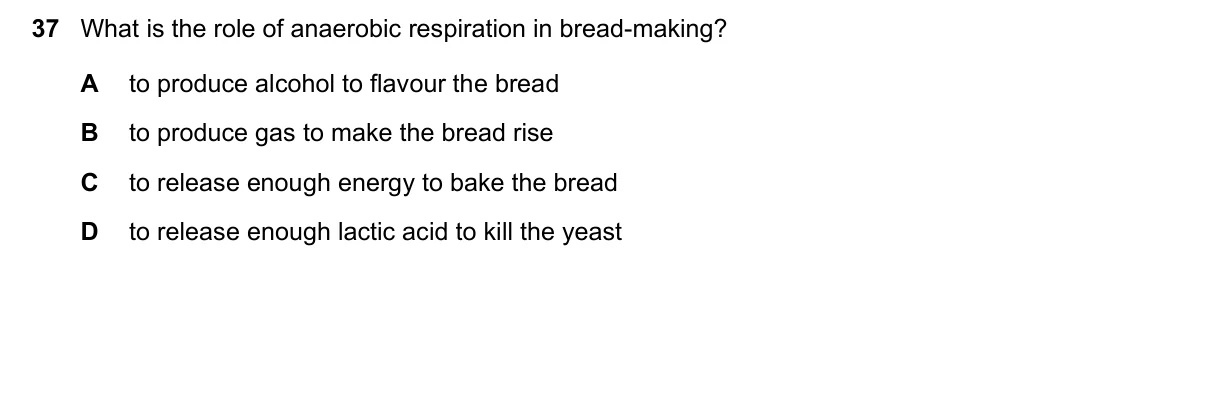 Question 37, June 2020, 0610 Paper 13