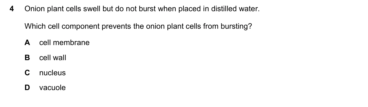 Question 4, June 2020, 0610 Paper 13