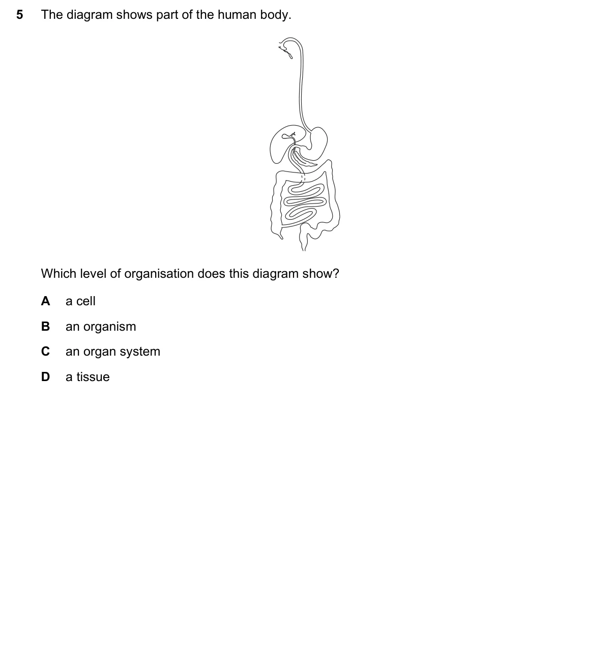 Question 5, June 2020, 0610 Paper 13