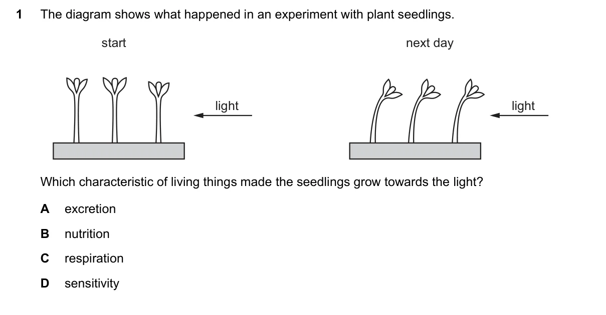 Question 1, June 2020, 0610 Paper 23