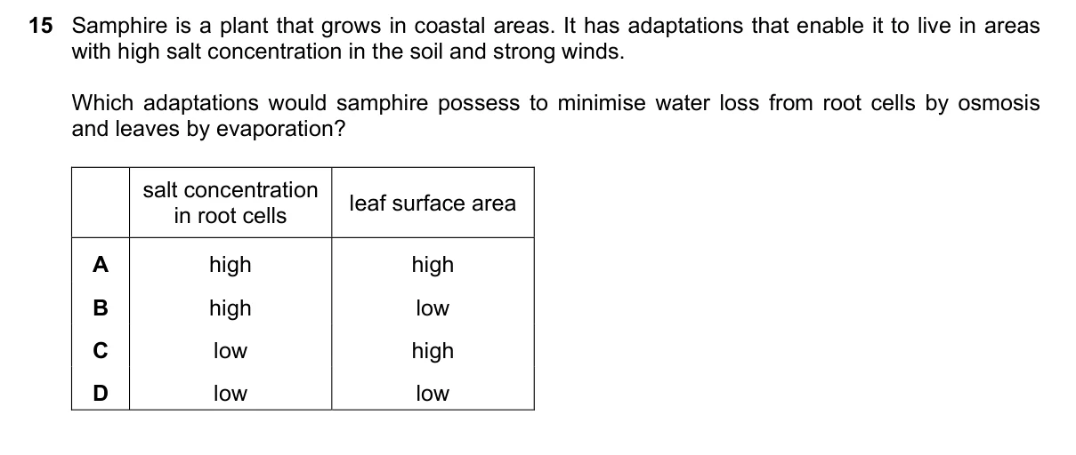 Question 15, June 2020, 0610 Paper 23