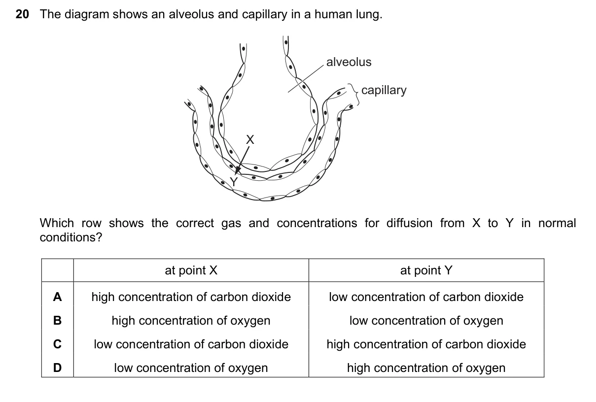 Question 20, June 2020, 0610 Paper 23