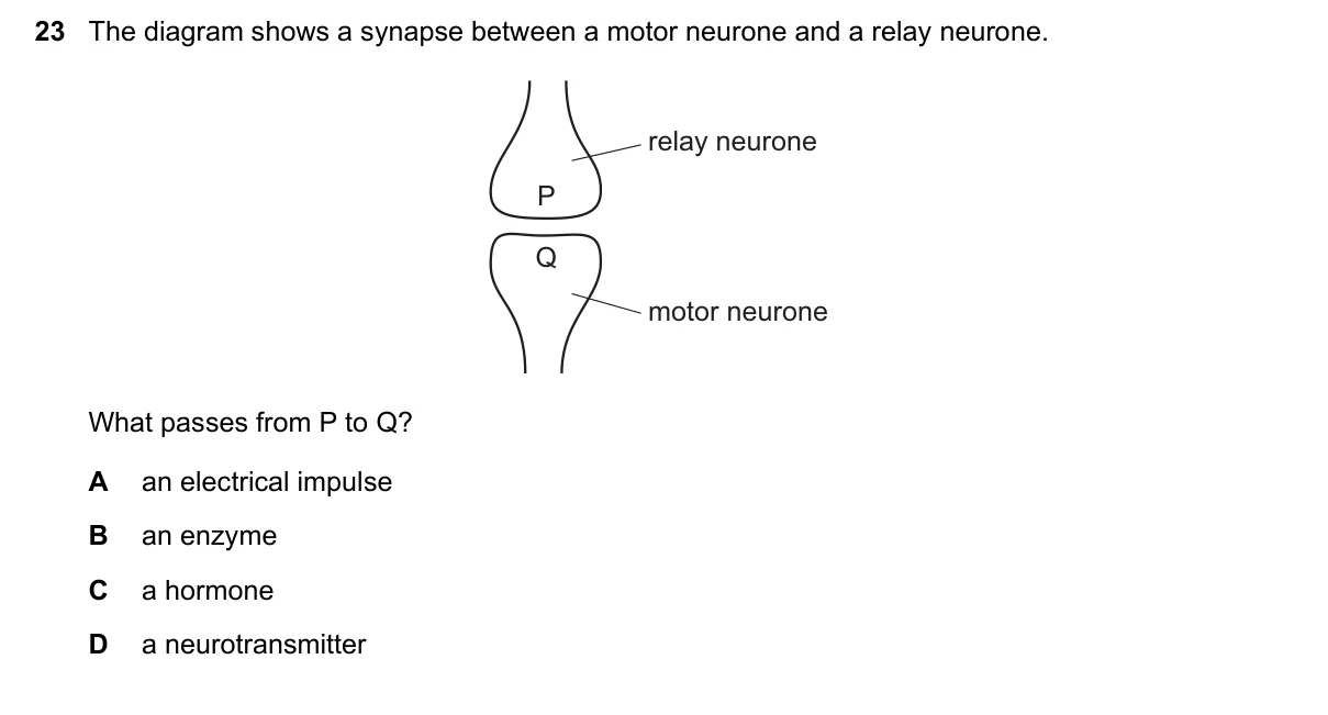 Question 23, June 2020, 0610 Paper 23