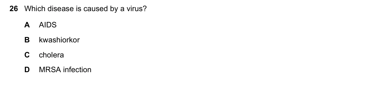 Question 26, June 2020, 0610 Paper 23