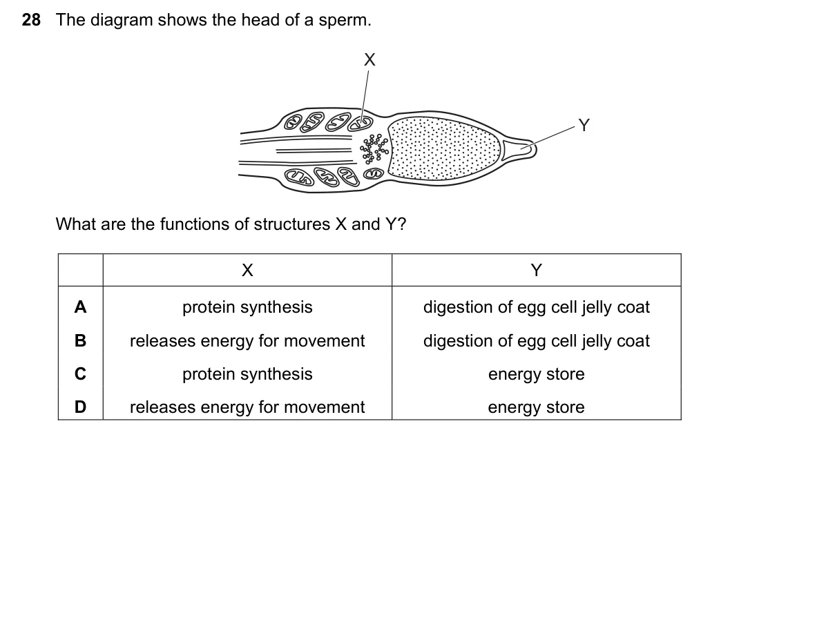 Question 28, June 2020, 0610 Paper 23