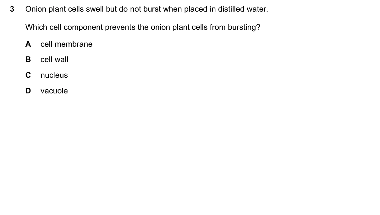 Question 3, June 2020, 0610 Paper 23