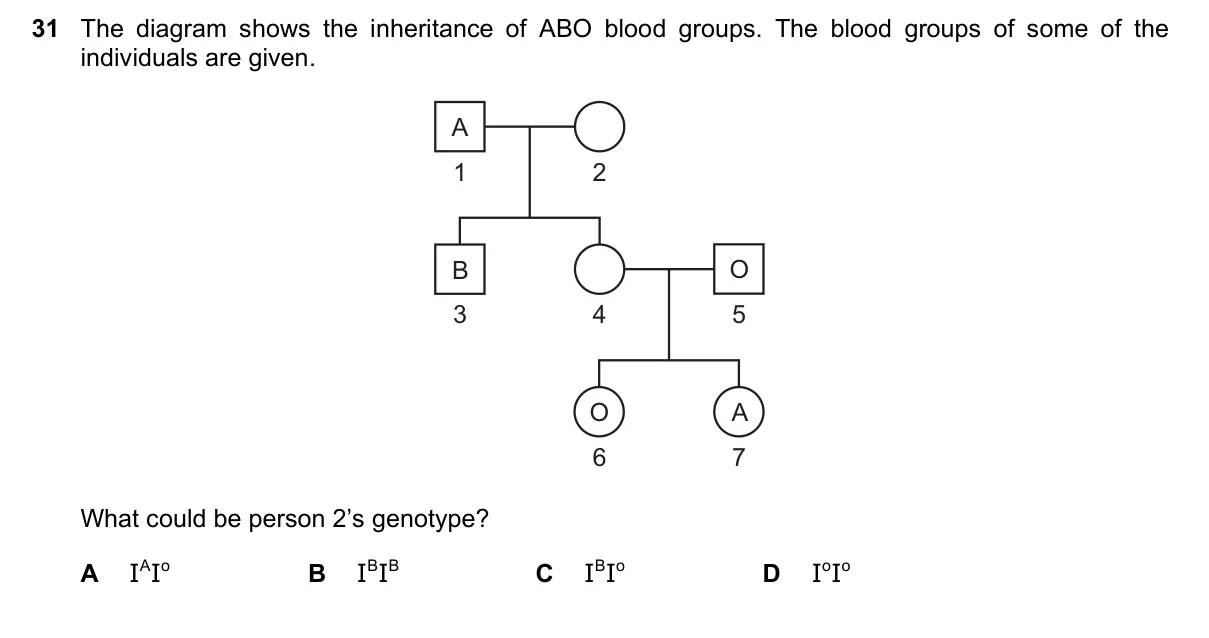 Question 31, June 2020, 0610 Paper 23