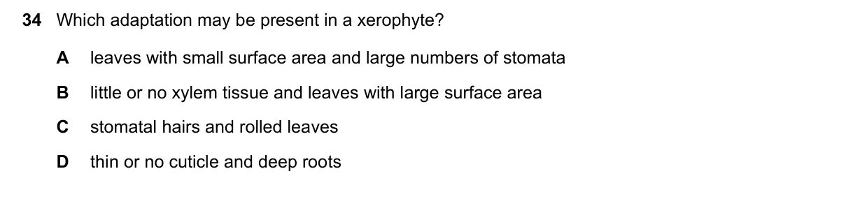 Question 34, June 2020, 0610 Paper 23