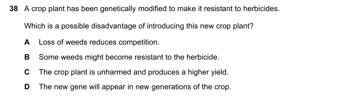 Question 38, June 2020, 0610 Paper 23