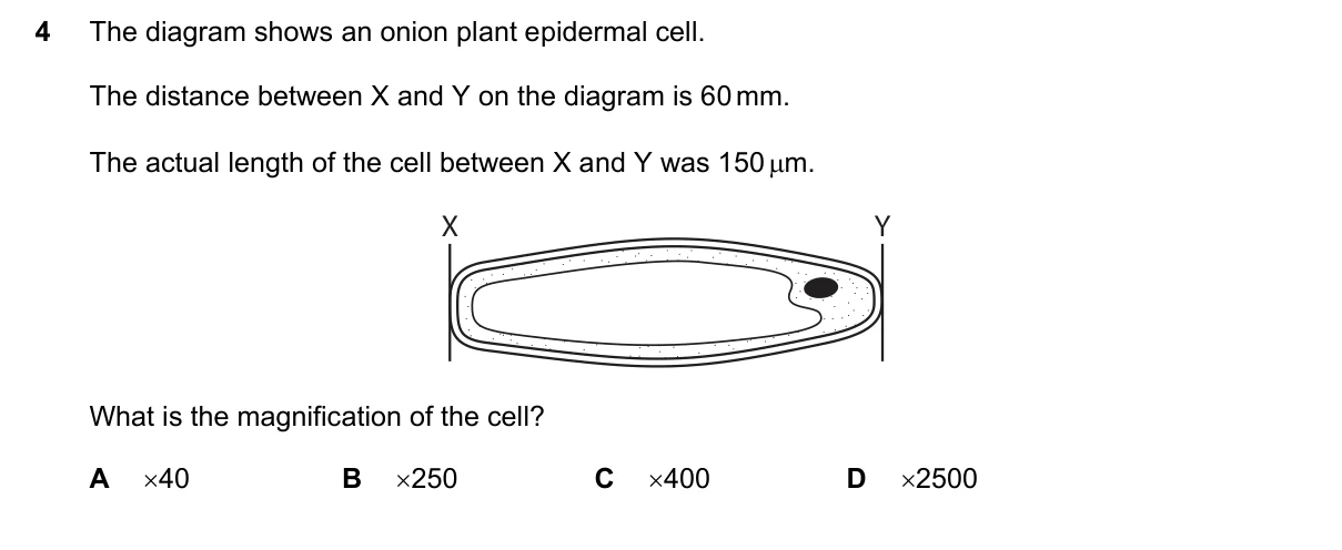 Question 4, June 2020, 0610 Paper 23