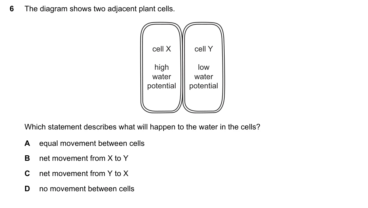 Question 6, June 2020, 0610 Paper 23