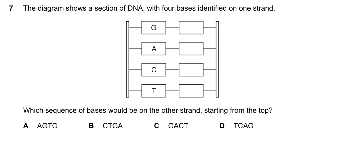 Question 7, June 2020, 0610 Paper 23