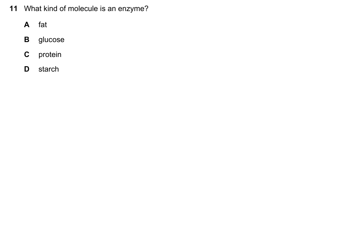Question 11, November 2020, 0610 Paper 11
