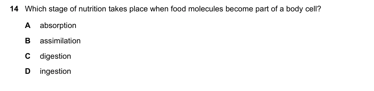 Question 14, November 2020, 0610 Paper 11