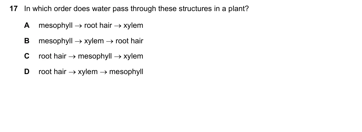 Question 17, November 2020, 0610 Paper 11
