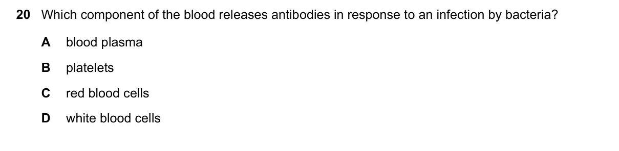 Question 20, November 2020, 0610 Paper 11