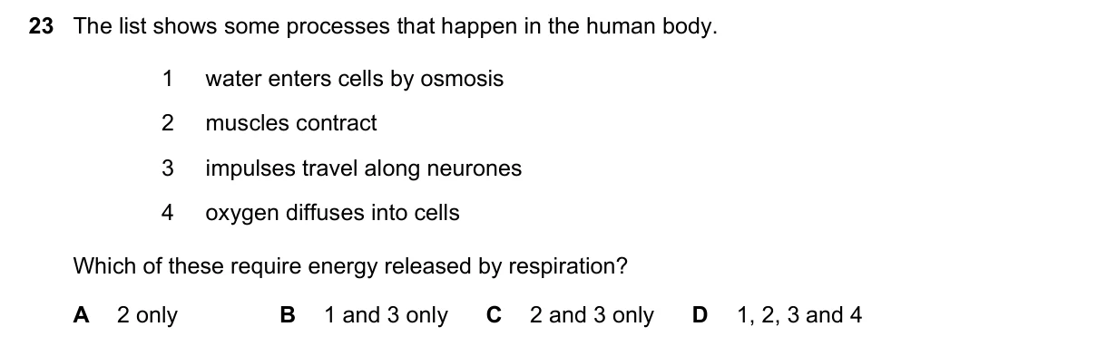 Question 23, November 2020, 0610 Paper 11