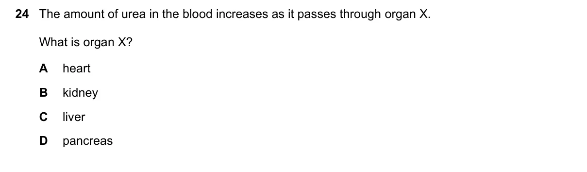 Question 24, November 2020, 0610 Paper 11