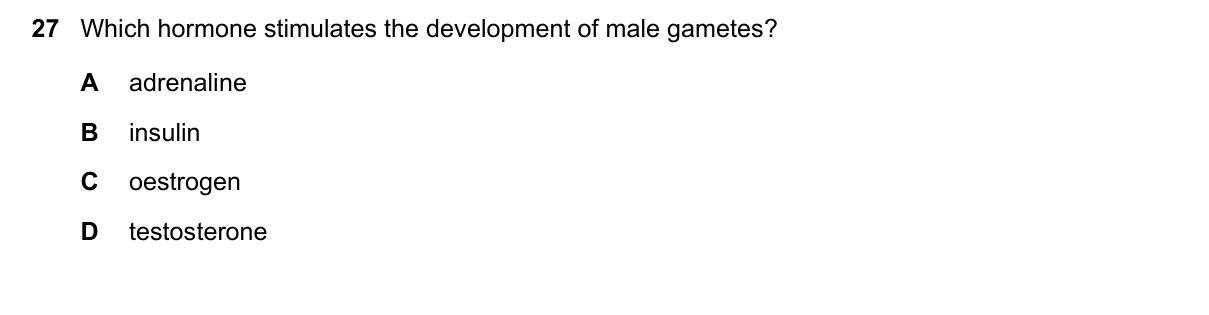 Question 27, November 2020, 0610 Paper 11