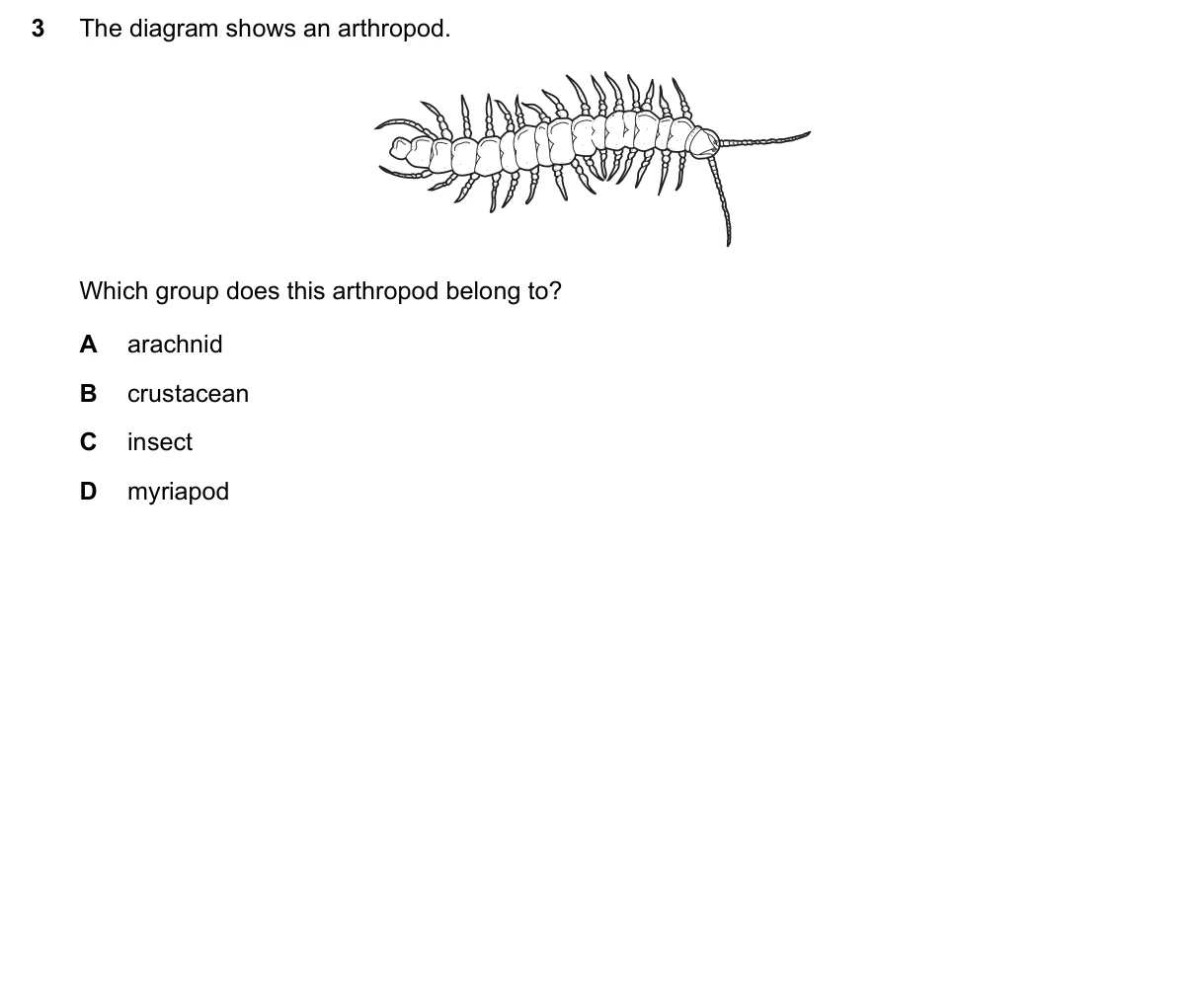 Question 3, November 2020, 0610 Paper 11