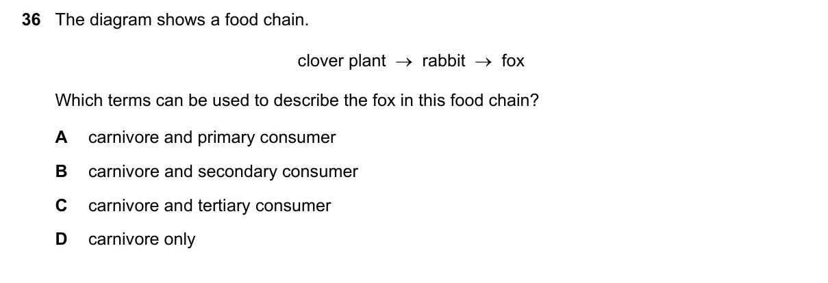 Question 36, November 2020, 0610 Paper 11