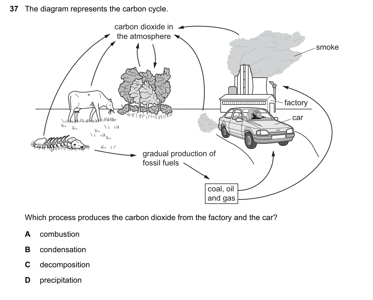 Question 37, November 2020, 0610 Paper 11