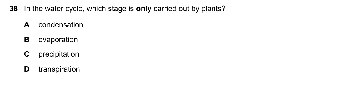 Question 38, November 2020, 0610 Paper 11