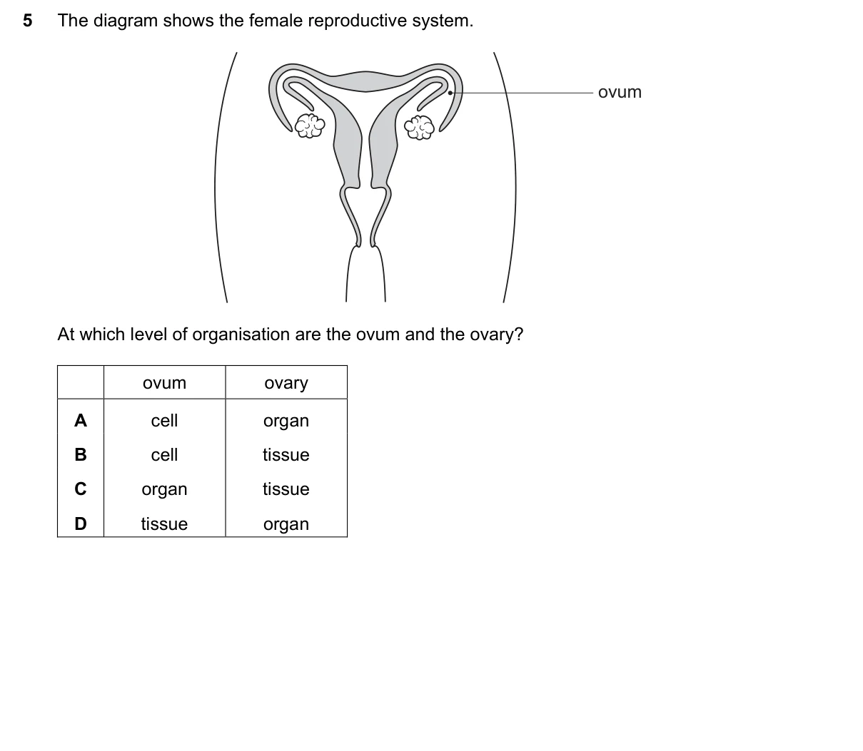 Question 5, November 2020, 0610 Paper 11
