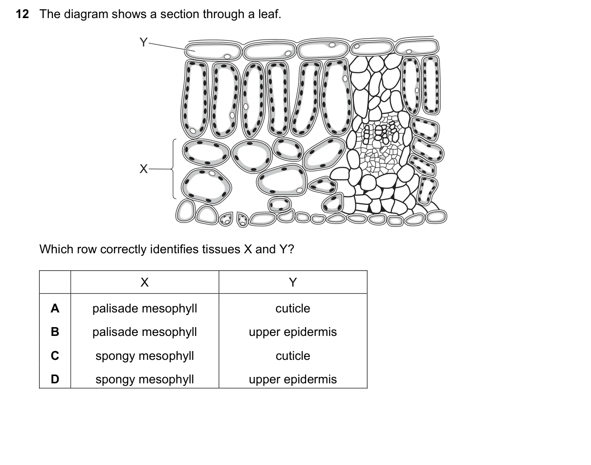 Question 12, November 2020, 0610 Paper 21