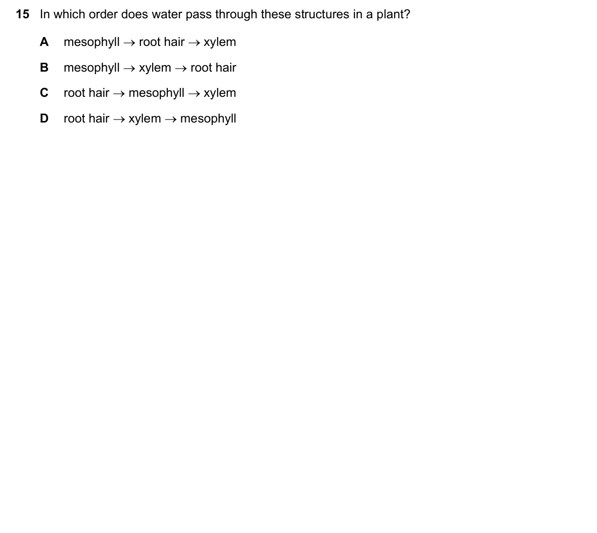 Question 15, November 2020, 0610 Paper 21