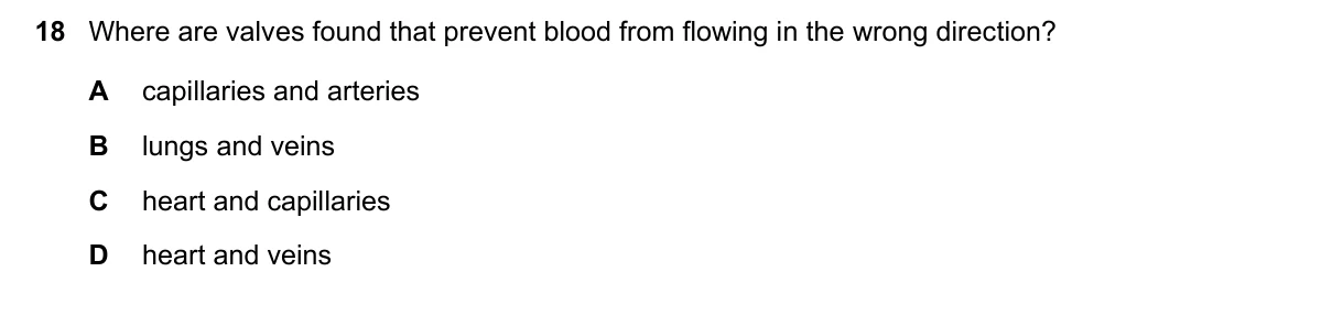 Question 18, November 2020, 0610 Paper 21
