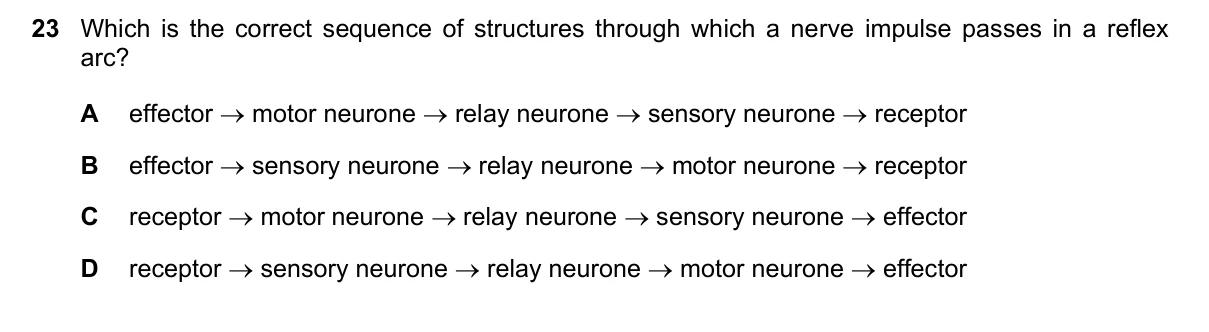 Question 23, November 2020, 0610 Paper 21