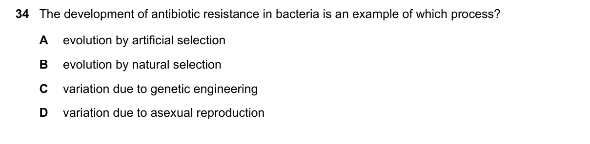 Question 34, November 2020, 0610 Paper 21