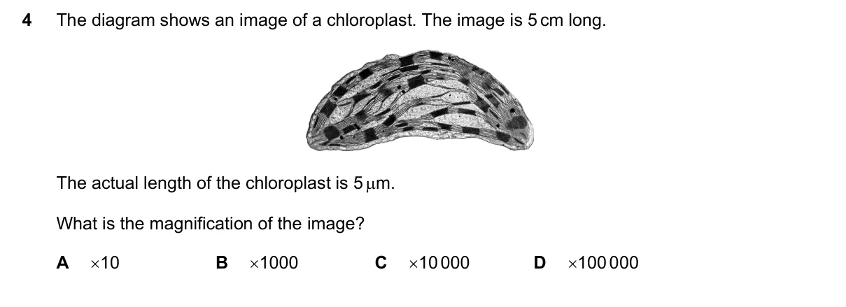 Question 4, November 2020, 0610 Paper 21
