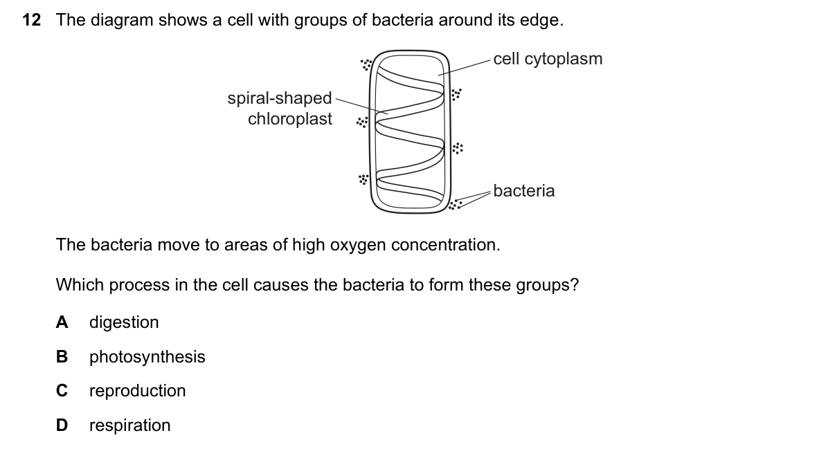 Question 12, November 2020, 0610 Paper 12