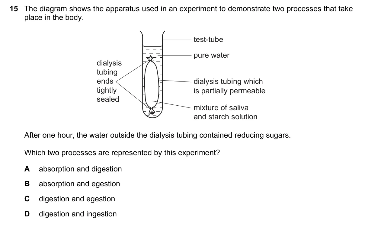Question 15, November 2020, 0610 Paper 12