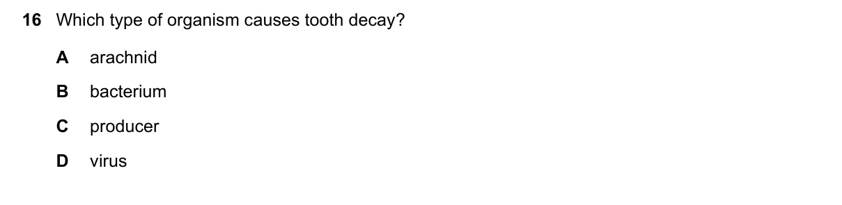 Question 16, November 2020, 0610 Paper 12