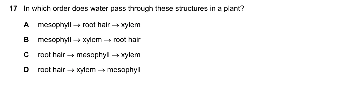 Question 17, November 2020, 0610 Paper 12