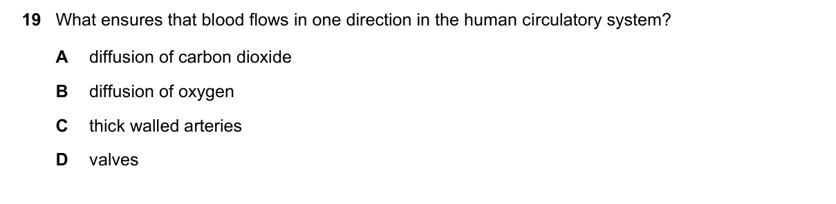 Question 19, November 2020, 0610 Paper 12