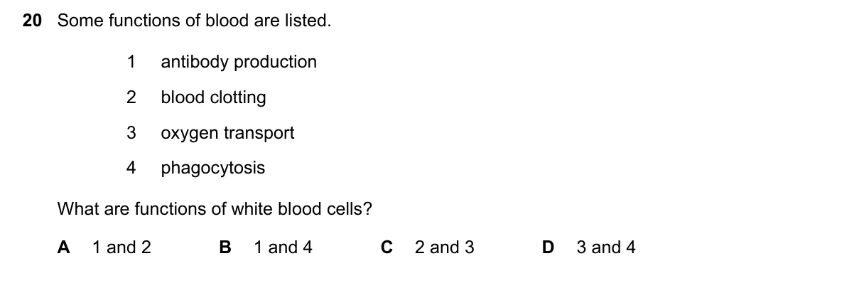 Question 20, November 2020, 0610 Paper 12