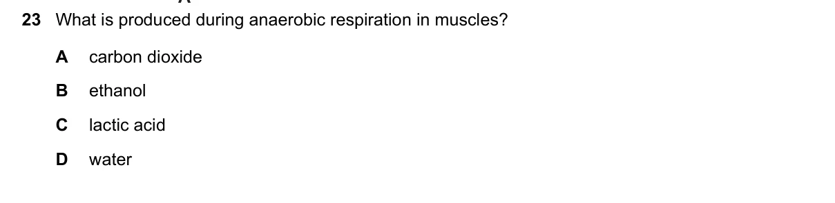 Question 23, November 2020, 0610 Paper 12