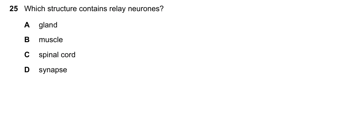 Question 25, November 2020, 0610 Paper 12
