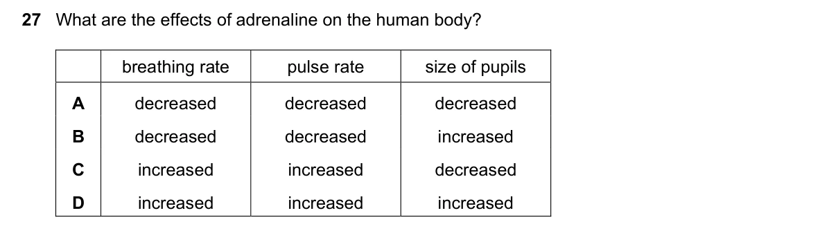 Question 27, November 2020, 0610 Paper 12