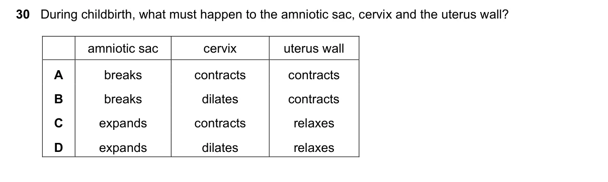 Question 30, November 2020, 0610 Paper 12