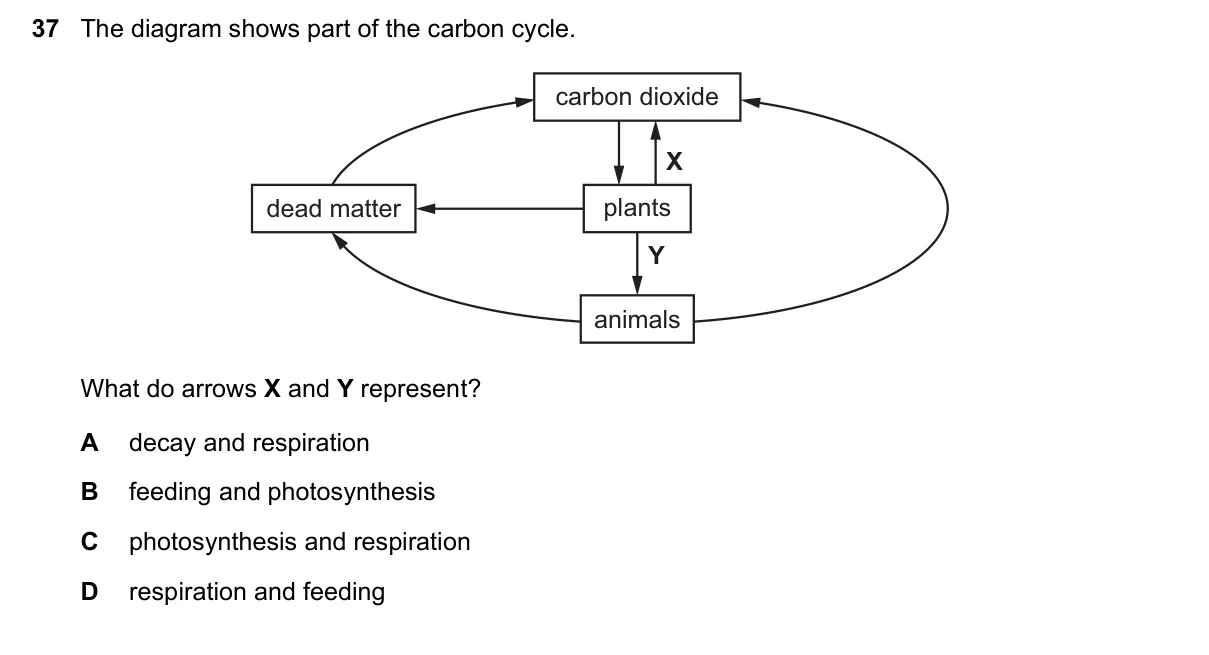 Question 37, November 2020, 0610 Paper 12